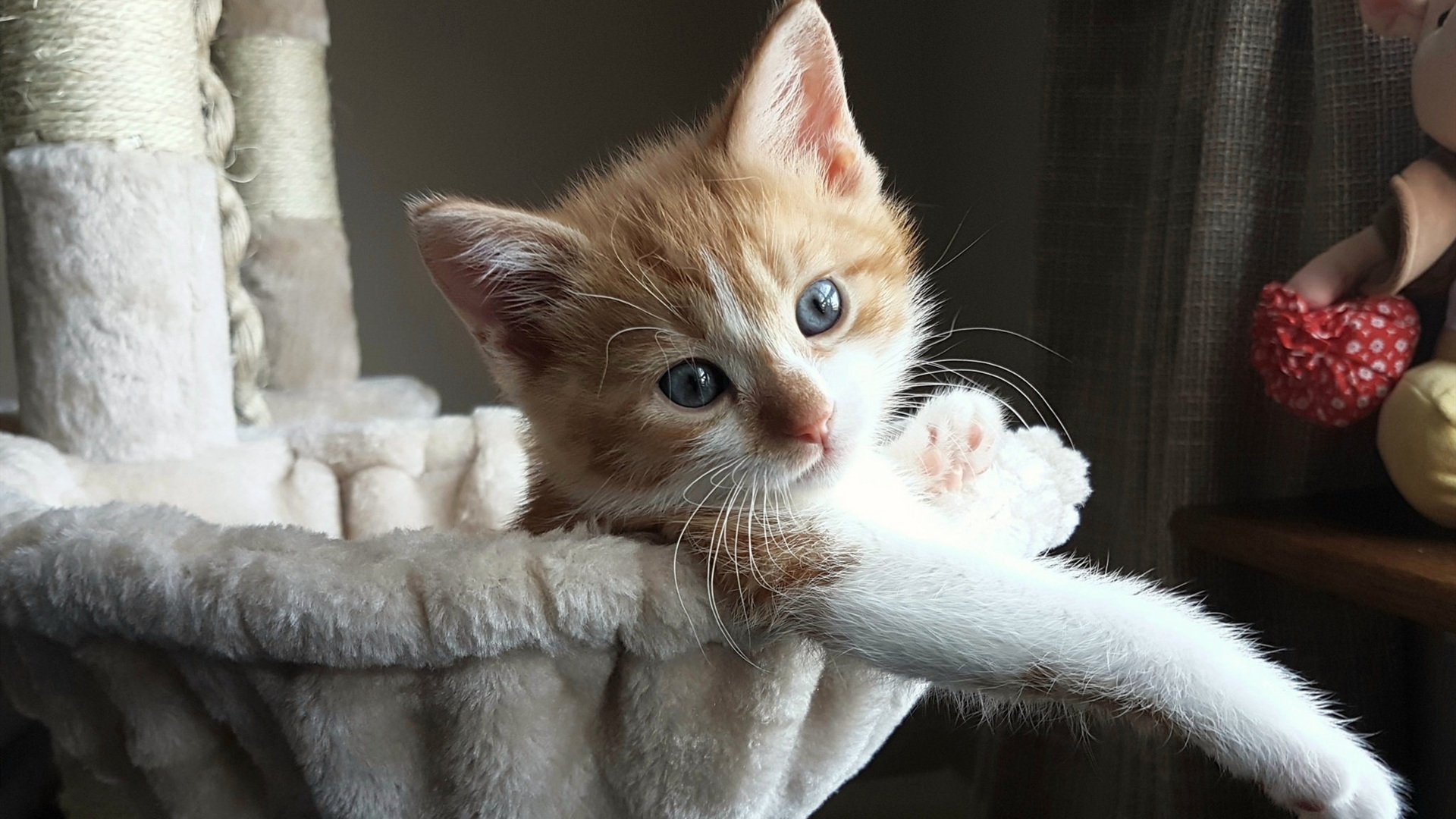 一撇凌厉的浓眉，F1街道赛之夜与像素点阵中的水墨筋骨