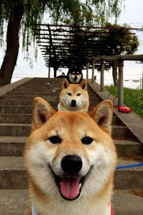 开云体育-天山风暴席卷高原！新疆男篮窒息式防守绞杀掘金，乔治一剑封喉诠释大心脏